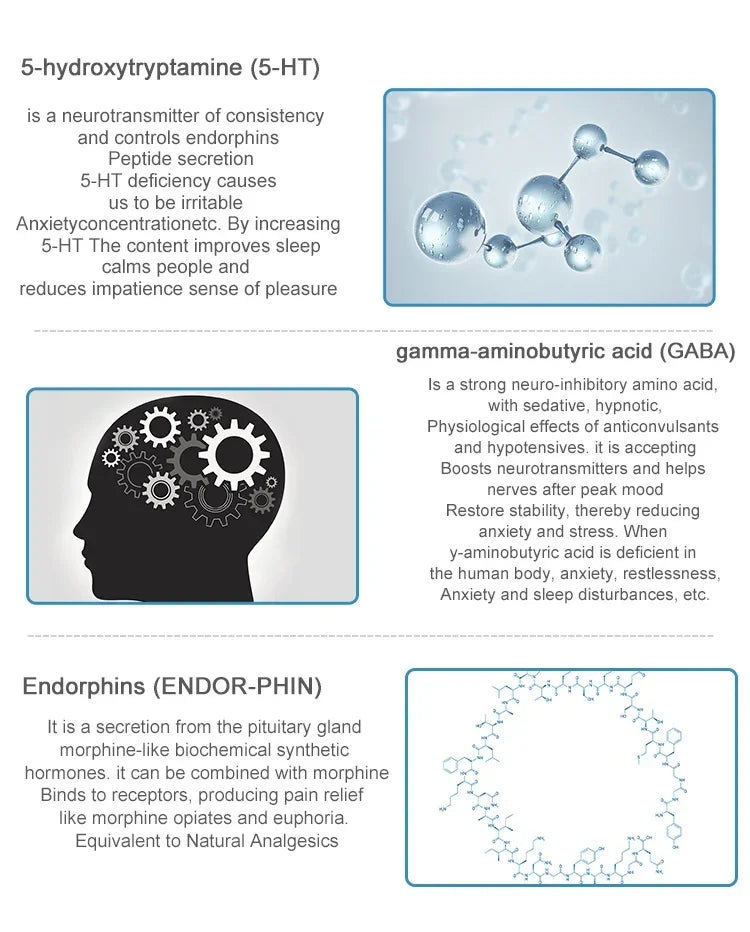 Diagram of neurotransmitters including 5-HT, GABA, and Endorphins with molecular structures and brain illustration.