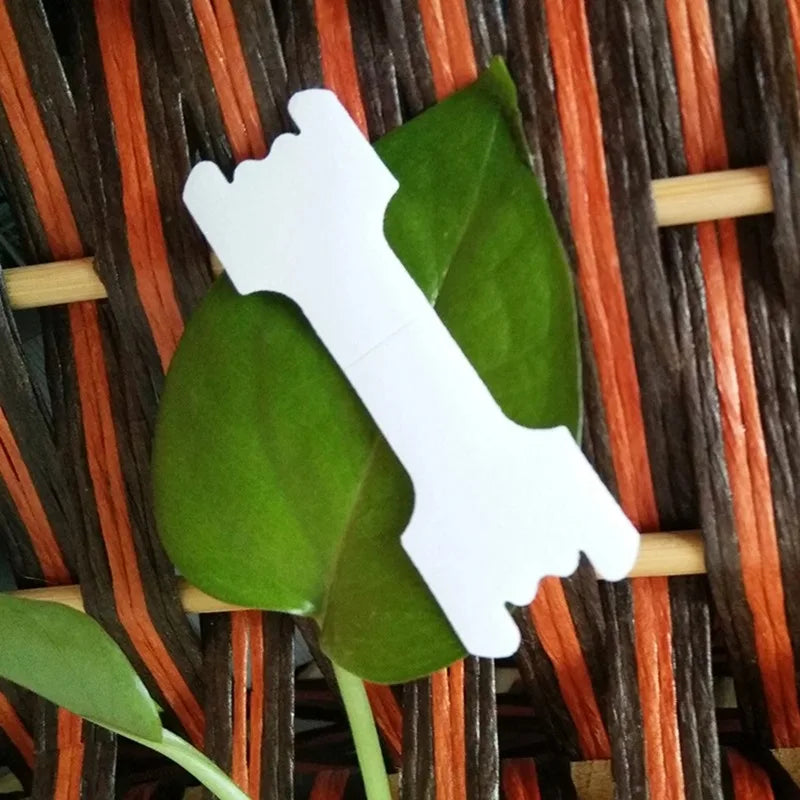 Breathe better nasal Sleep Apnea strips size.